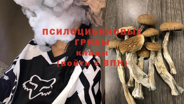 экстази Горнозаводск