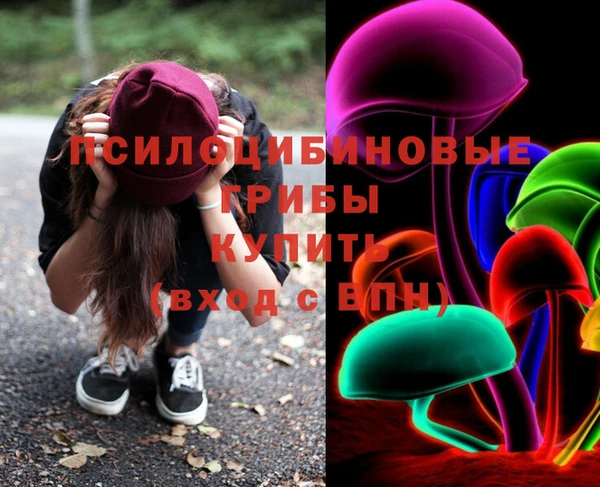 ешки Вязники