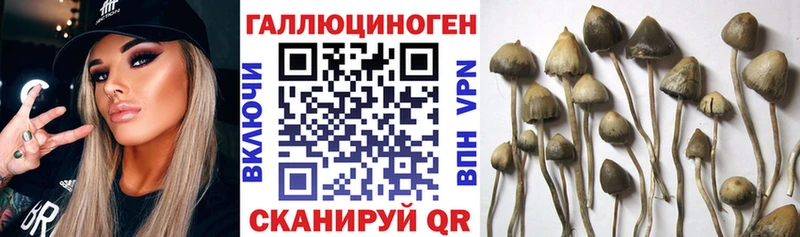 Галлюциногенные грибы мухоморы Злынка