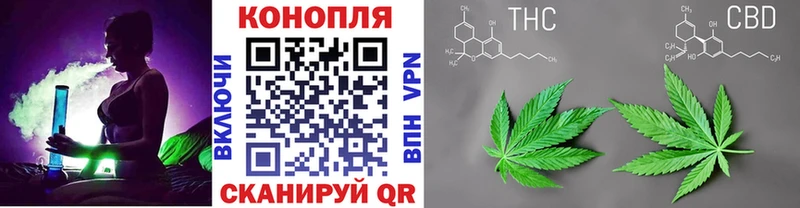 Бошки Шишки Bruce Banner  продажа наркотиков  Злынка 